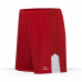 Dublin Women's Shorts 156A